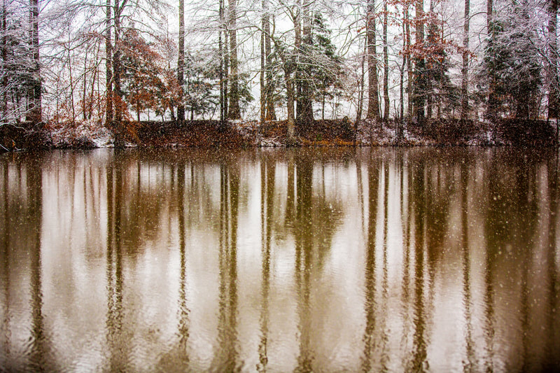 "A Winter's Day", $150, 14" X 20", Photography