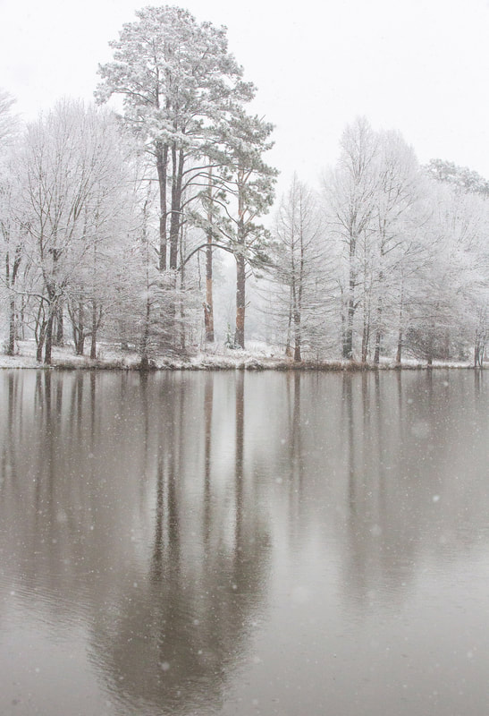 "Mississippi in the Middle of a Cold Spell", $150, 14" X 19", Photography